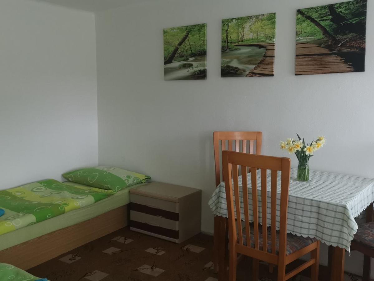 Penzion Tomy Pihlov Horní Planá Dış mekan fotoğraf